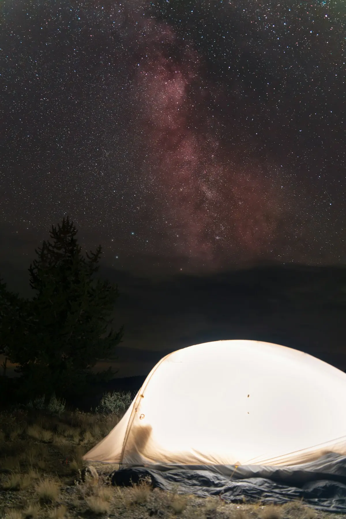 A lit tent glowing beside dark evergreen trees beneath a sky full of stars.