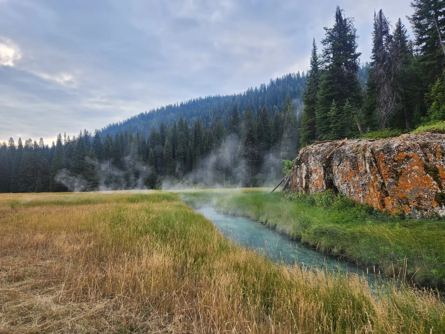Steam drifting over a narrow stream that winds through a grassy meadow, past an orange lichen-covered rock outcrop and evergreen forest.
